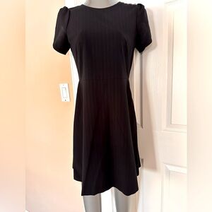 Ann Taylor LOFT navy blue dress with pin stripes.